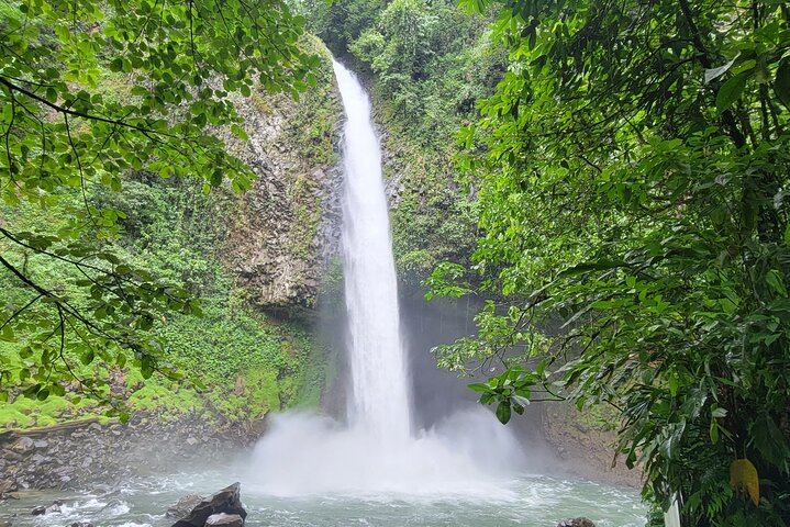 8 Days Costa Rica Rainforest & Coastal Experience  - Photo 1 of 7